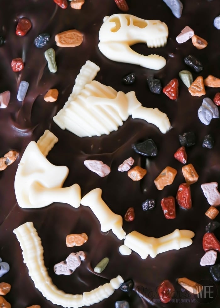 detail close up of chocolate dino bones