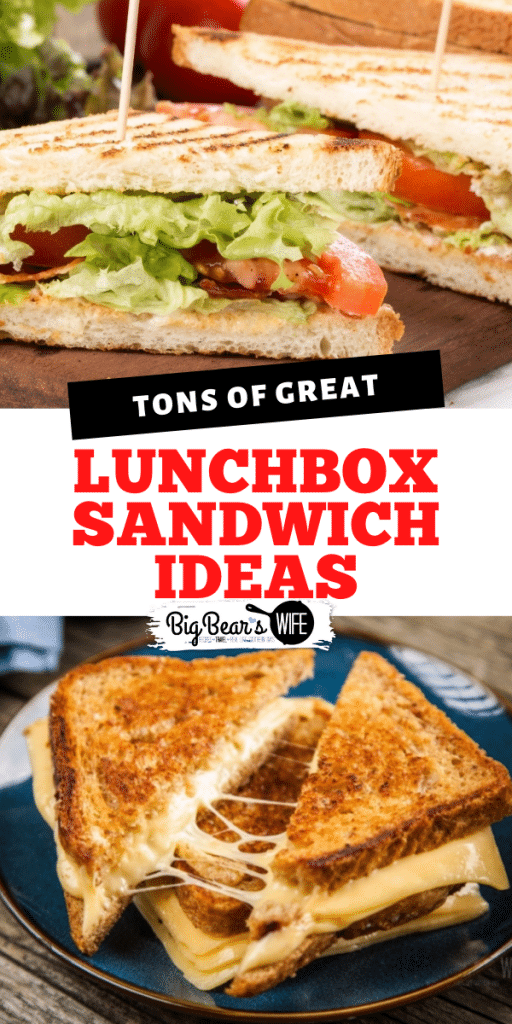 If you need to pack lunches for school or work this year, you're going to want these recipes, ideas and tips and tricks with all of these Lunchbox Sandwich Ideas!