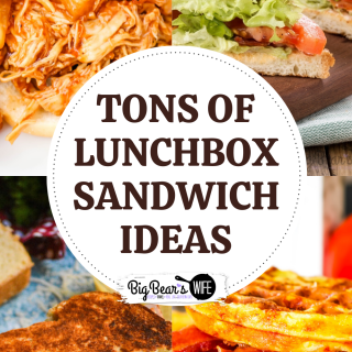 If you need to pack lunches for school or work this year, you're going to want these recipes, ideas and tips and tricks with all of these Lunchbox Sandwich Ideas!