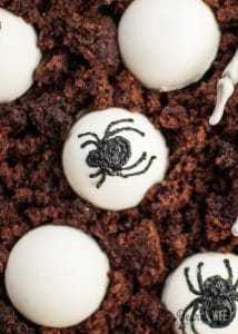 Halloween Spider Egg Domes Dessert (2)