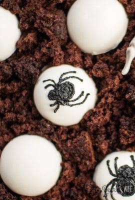 Halloween Spider Egg Domes Dessert (2)
