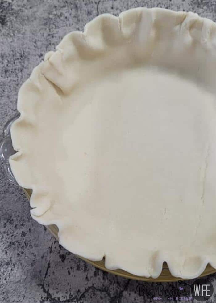 Pie Crust In Pie Plate