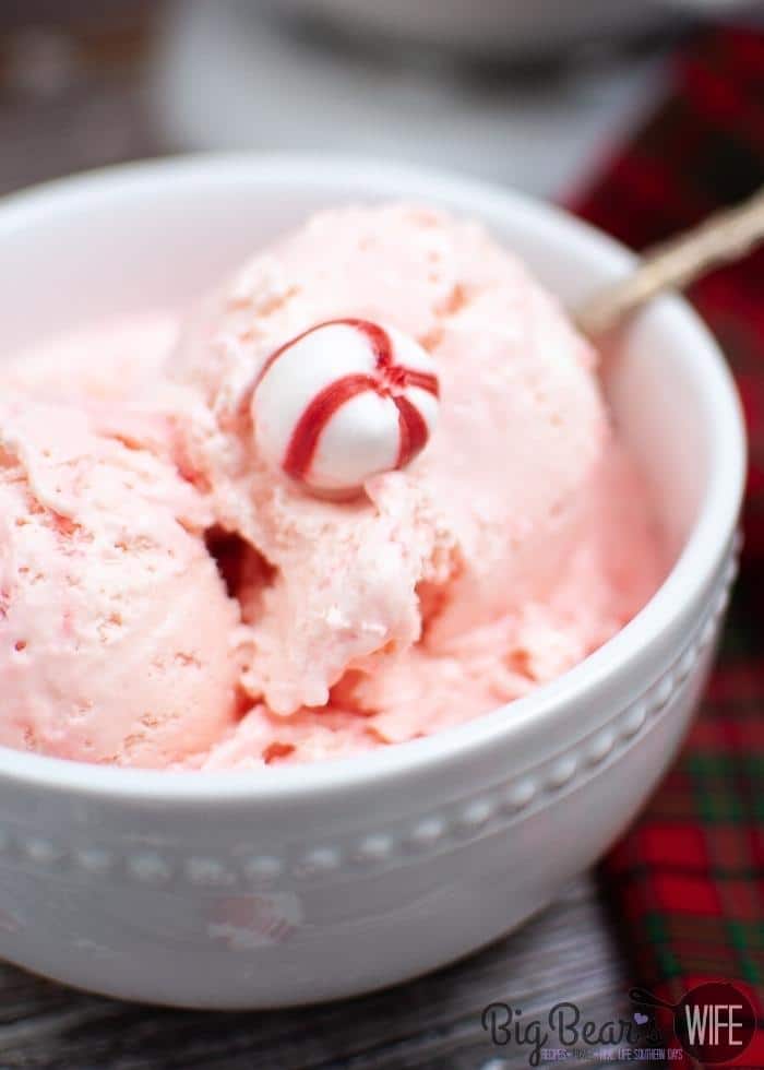 Peppermint Ice Cream in a white bowl (1)