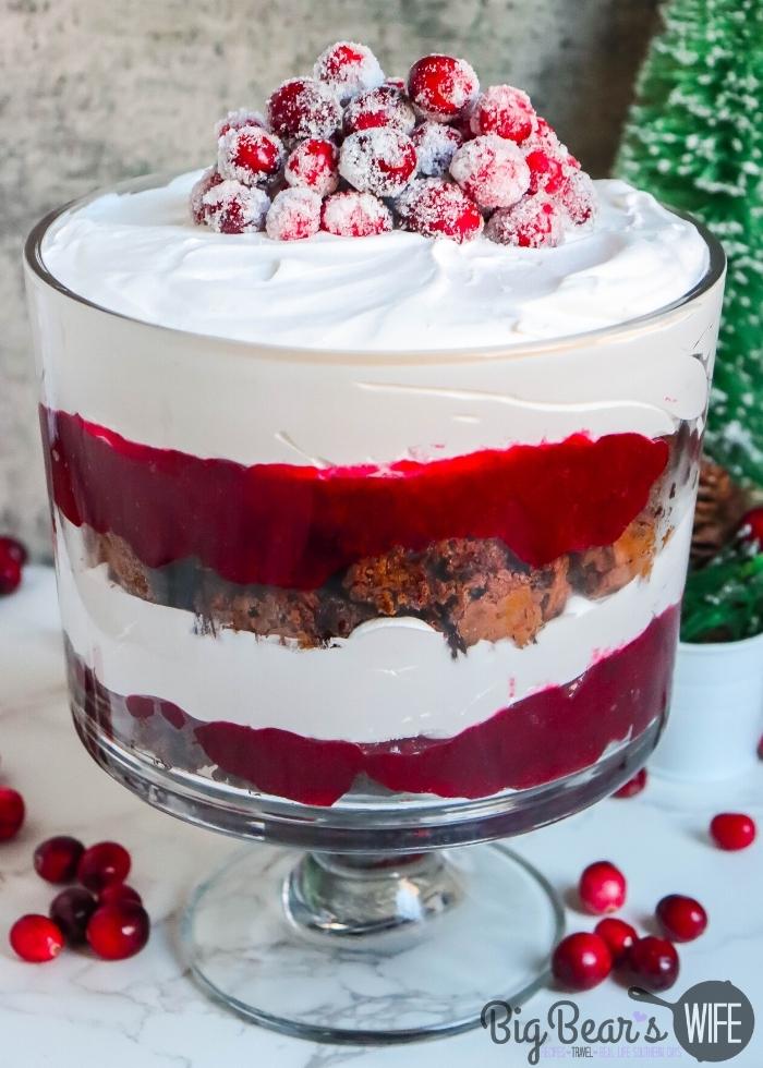 layers of a CHOCOLATE BROWNIE CRANBERRY TRIFLE (1)