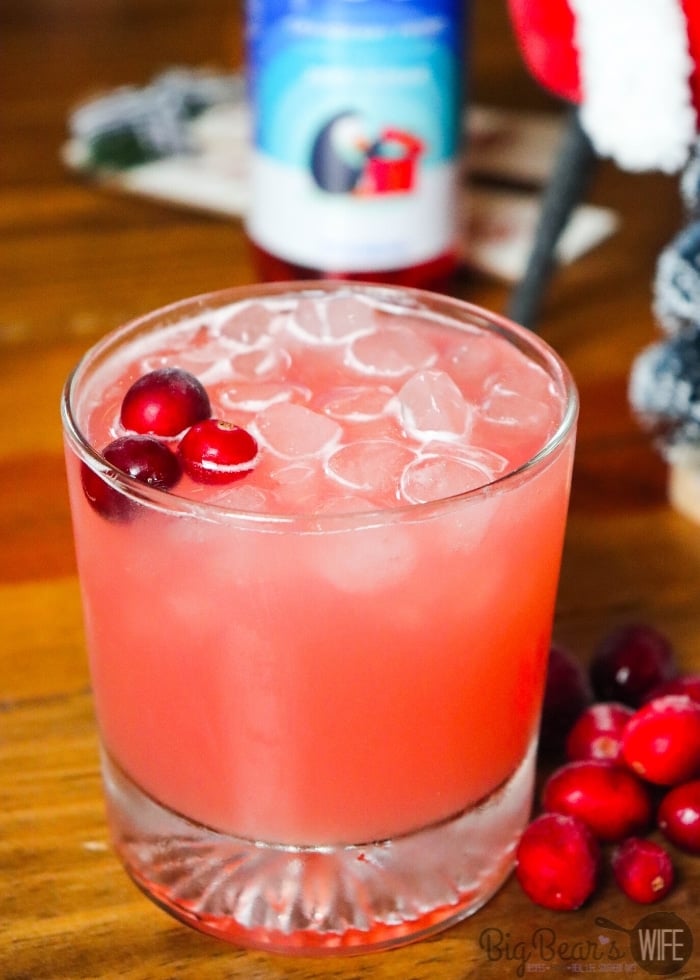 Cranberry Pineapple Punch Mocktail (1)
