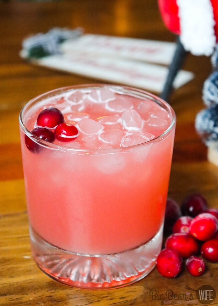 Cranberry Pineapple Punch Mocktail
