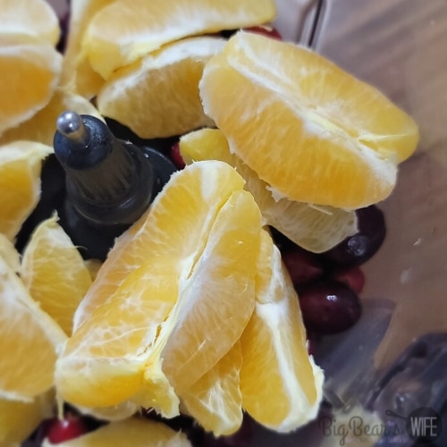 fresh cranberries and oranges in a food processor