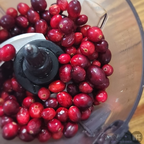 fresh cranberries in a food processor