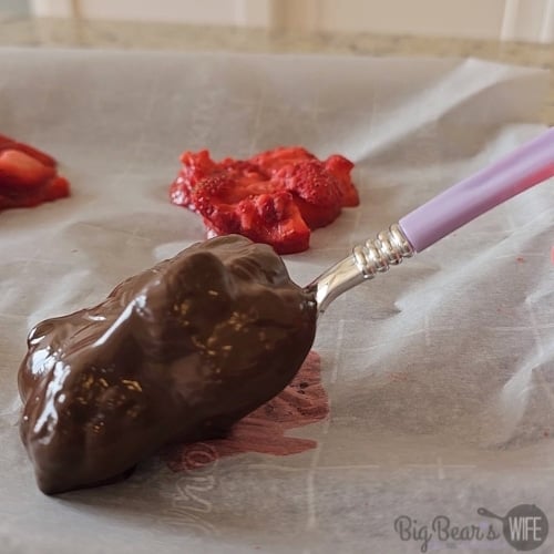 covering frozen mashed strawberries in chocolate