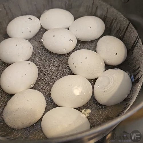 Boiling eggs in a pot of water