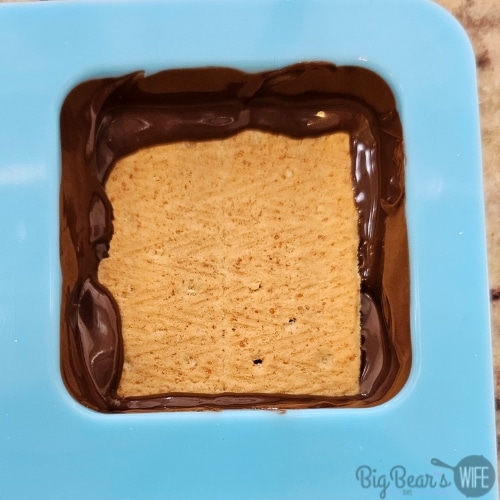 graham cracker in chocolate in mold