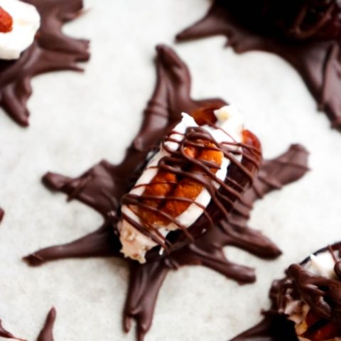Medjool dates stuffed with sweetened cream cheese and pecans, topped with pecan halves and decorated with chocolate legs and antennae to look like Halloween roaches.