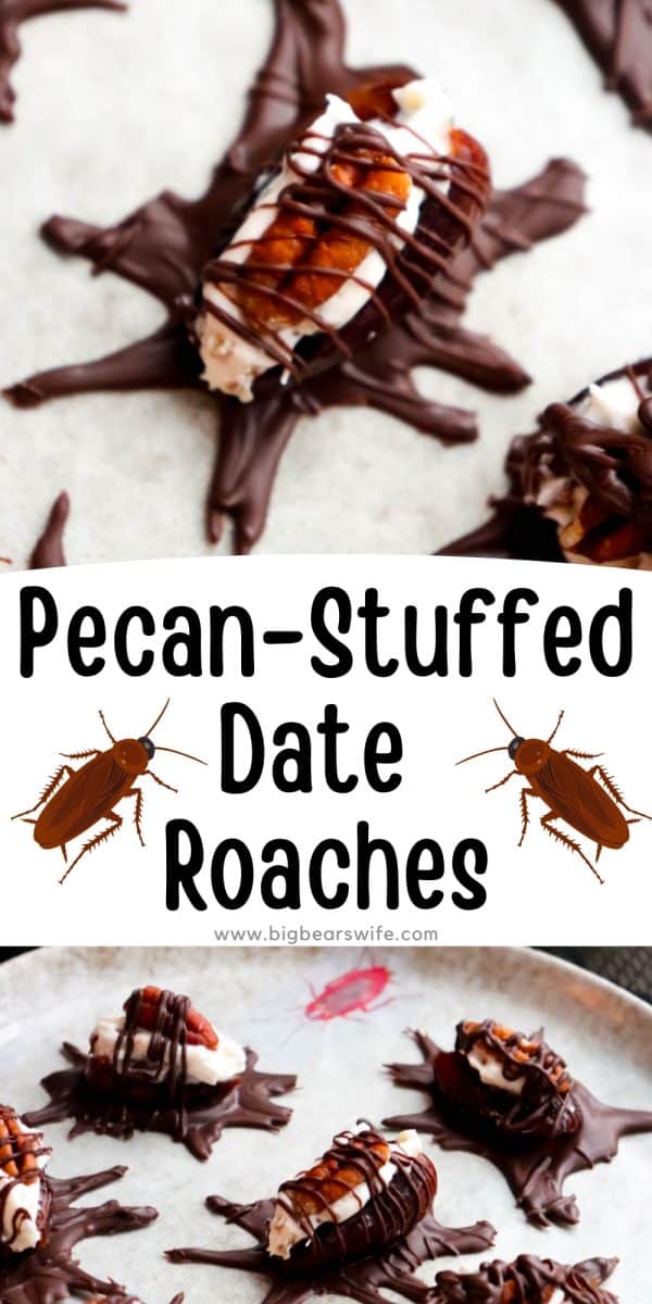 These Pecan-Stuffed Date Roaches might make you do a double take before grabbing one! Medjool dates are filled with a sweet cream cheese and pecan mixture, topped with a pecan half, and given chocolate legs and antennae for a creepy little Halloween treat.